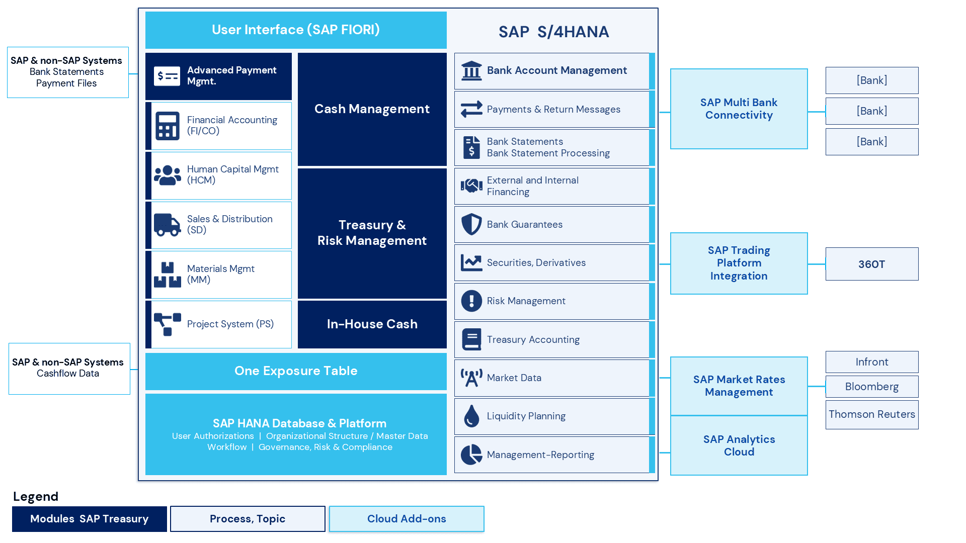 SAP Treasury System
